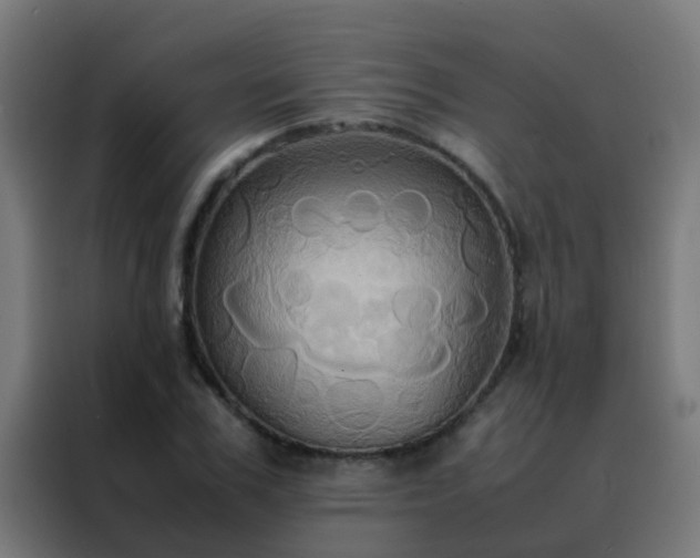 X0000088210979200705221740
