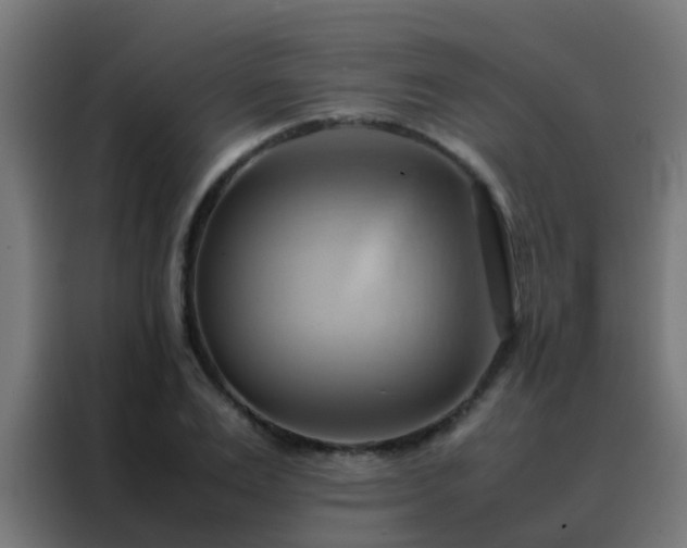 X0000088210983200705221740