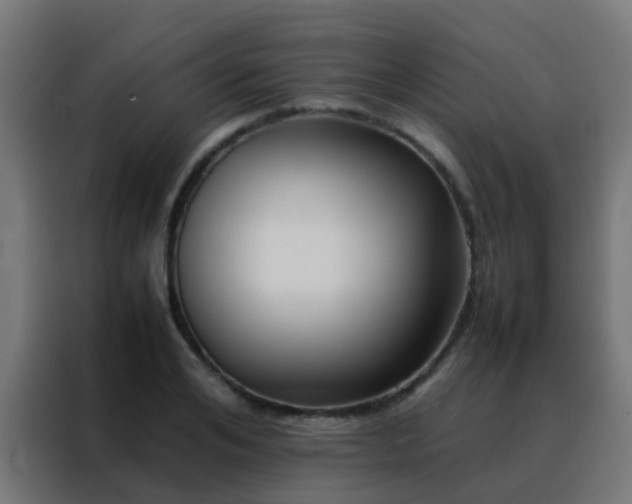 X0000088210984200705221740
