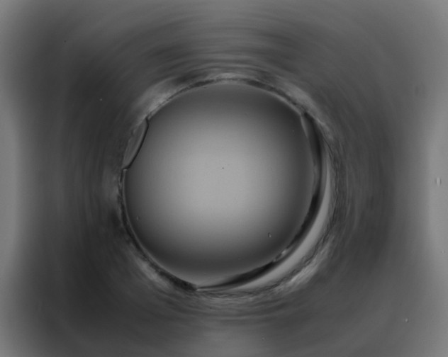 X0000088210985200705221740