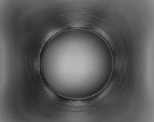X0000088210986200705221740