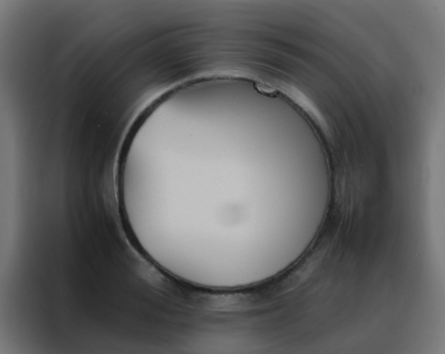 X0000088210988200705221740