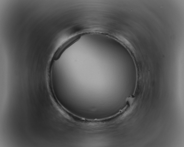 X0000088210989200705221740