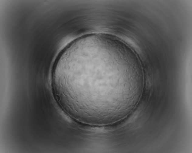 X0000088210990200705221740