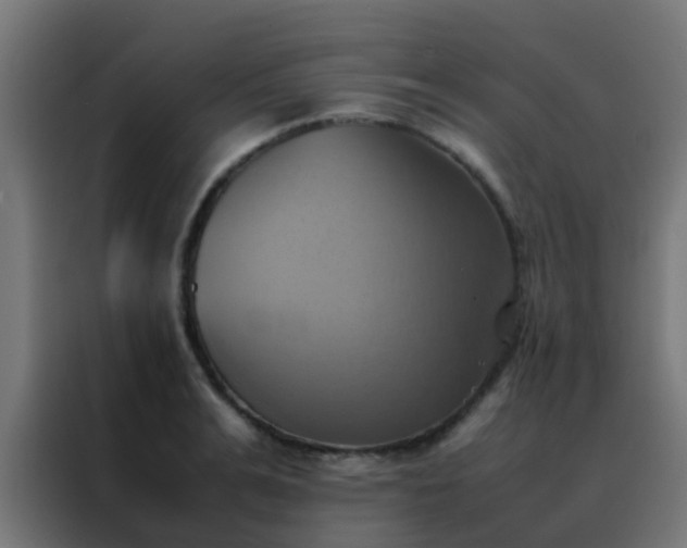 X0000088210991200705221740