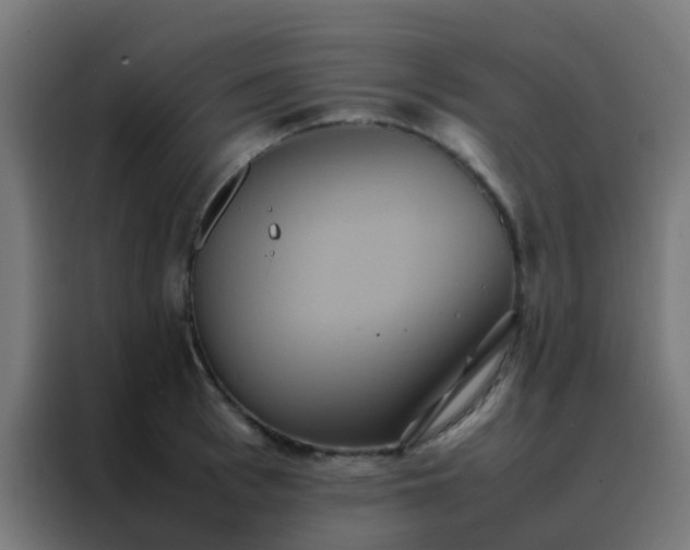 X0000088210993200705221740