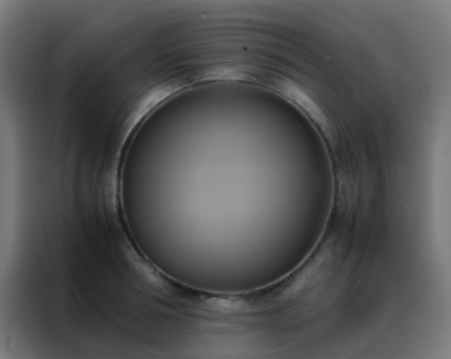 X0000088210994200705221740