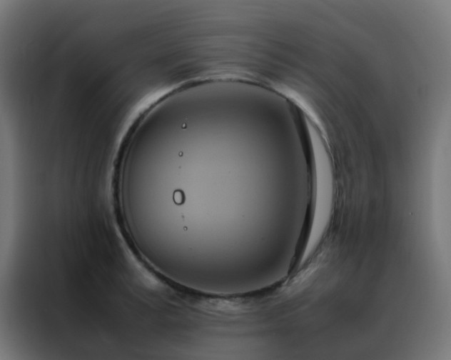 X0000088210995200705221740