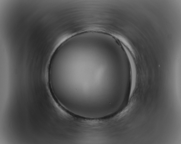 X0000088210999200705221740