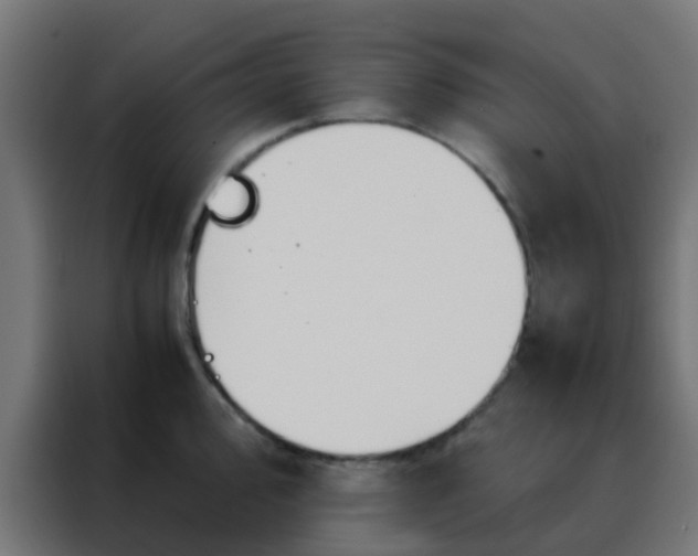 X0000088211000200705221740