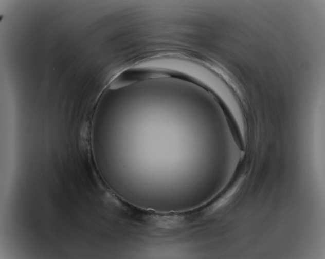 X0000088211001200705221740