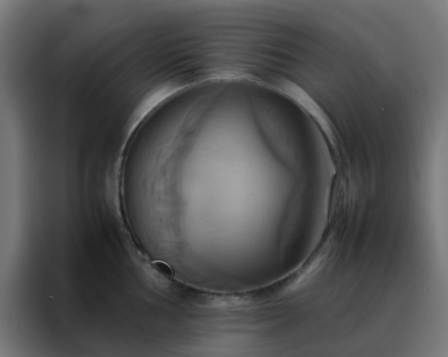 X0000088211002200705221740