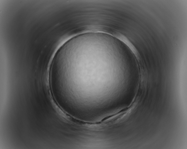 X0000088211004200705221739