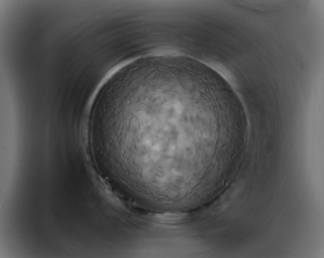 X0000088211008200705221739
