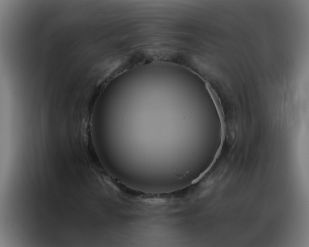 X0000088211010200705221739