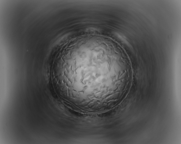X0000088211015200705221739