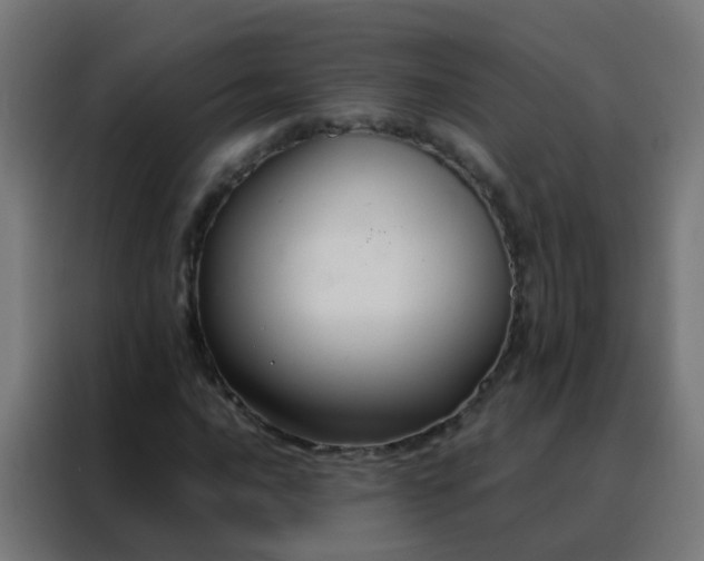 X0000088211016200705221739