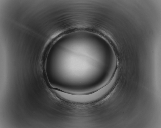 X0000088211018200705221739