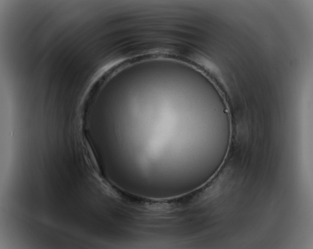 X0000088211019200705221739