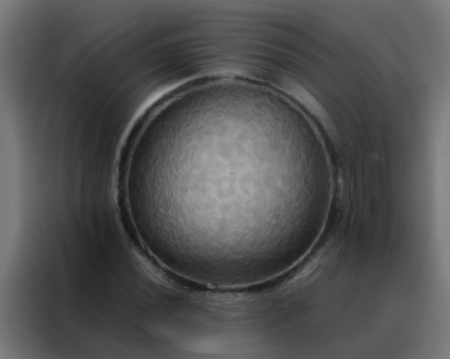 X0000088211020200705221739