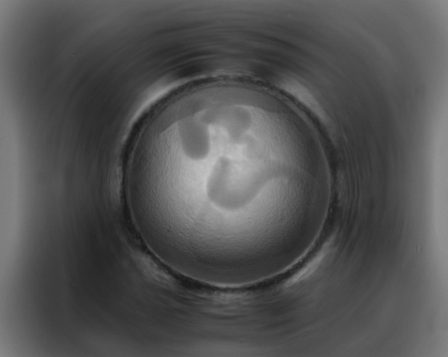 X0000088211021200705221739