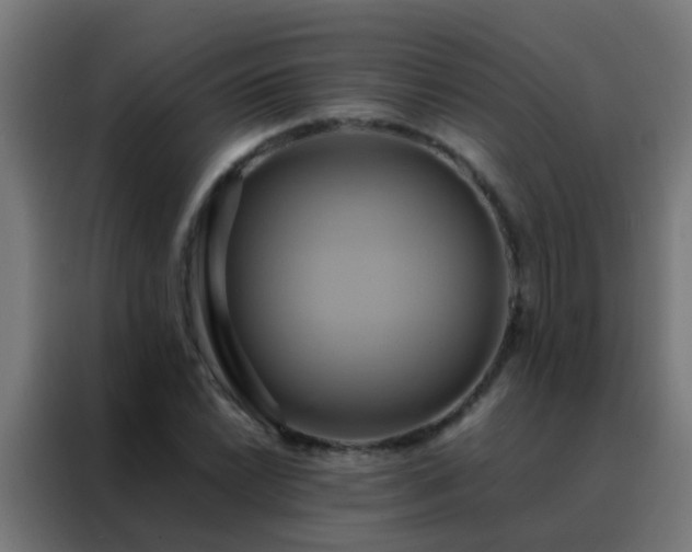 X0000088211022200705221739