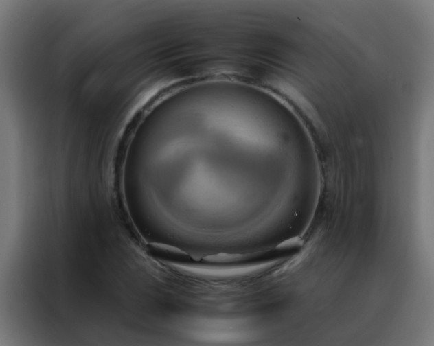 X0000088211023200705221739
