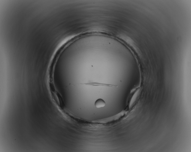 X0000088211024200705221739