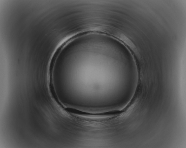 X0000088211028200705221739