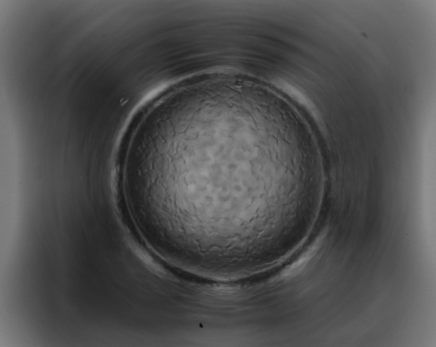 X0000088211029200705221739