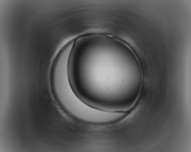 X0000088211030200705221739