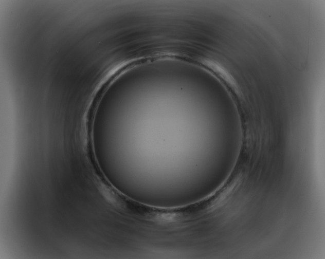 X0000088211031200705221739