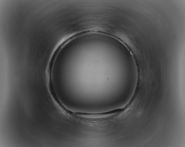 X0000088211032200705221739