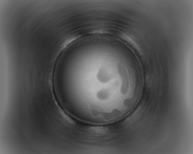 X0000088211033200705221739