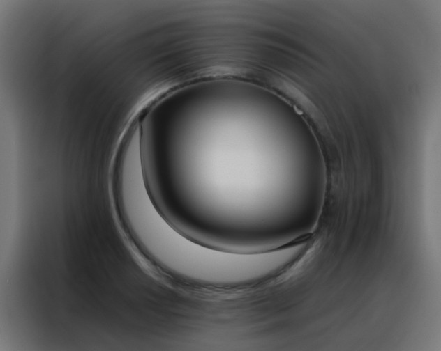 X0000088211034200705221739