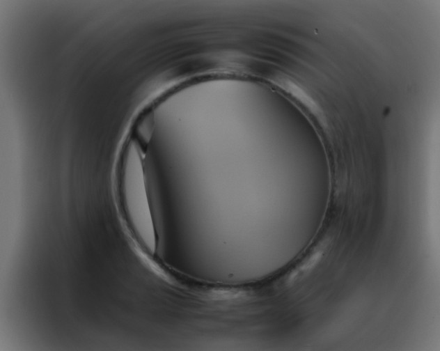 X0000088211037200705221739
