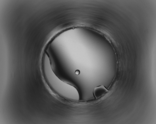 X0000088211038200705221739