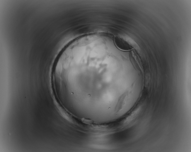 X0000088211039200705221739