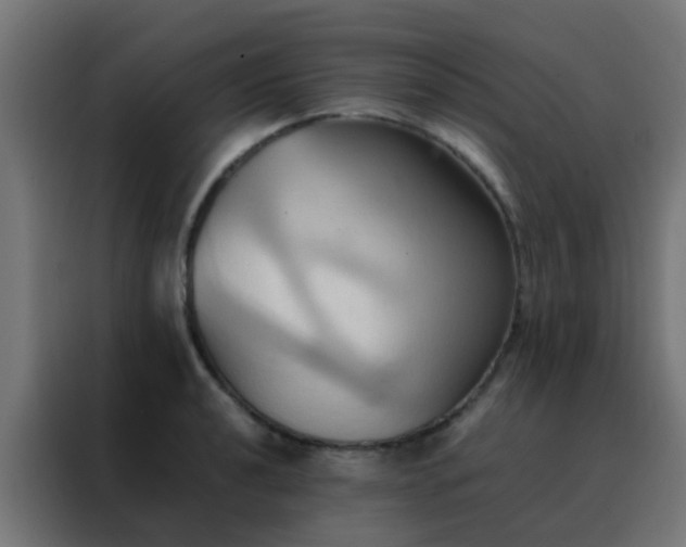 X0000088211040200705221739