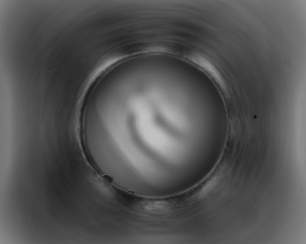 X0000088211043200705221739