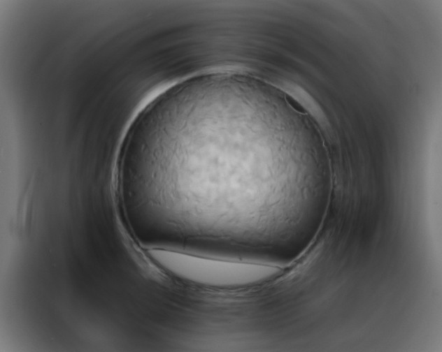 X0000088211044200705221739