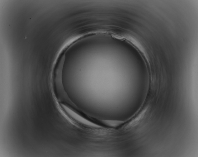 X0000088211045200705221739