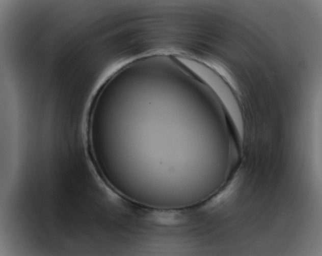X0000088211046200705221739
