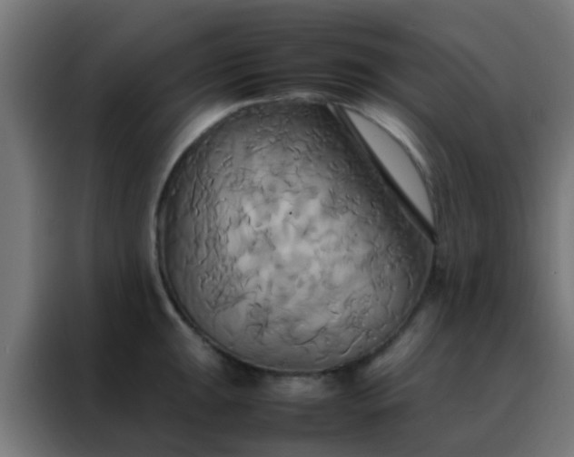 X0000088211047200705221739