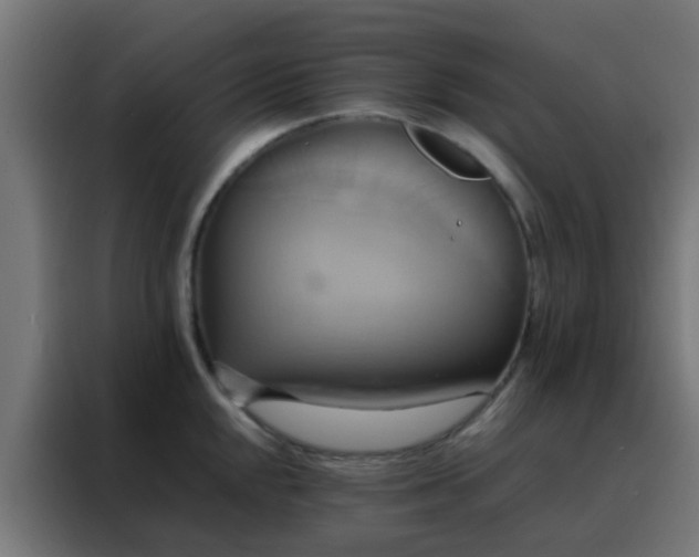X0000088211048200705221739