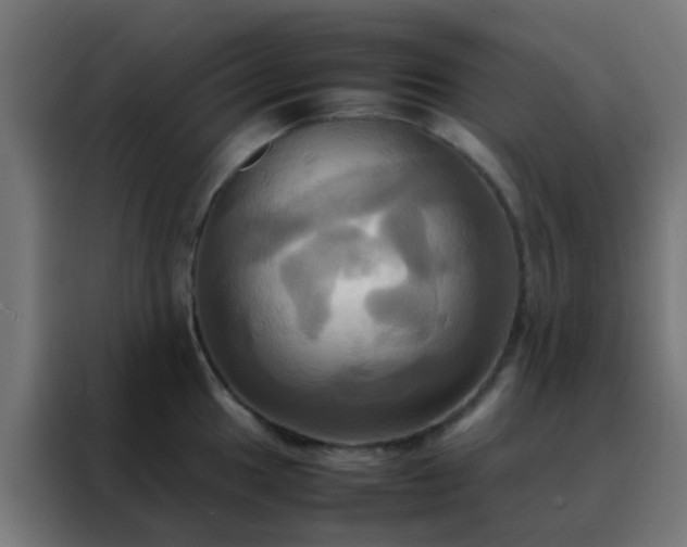 X0000088211049200705221739