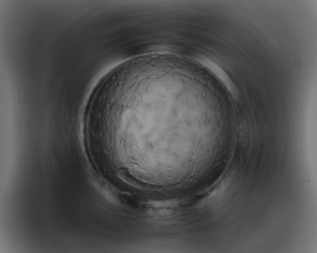 X0000088211051200705221739