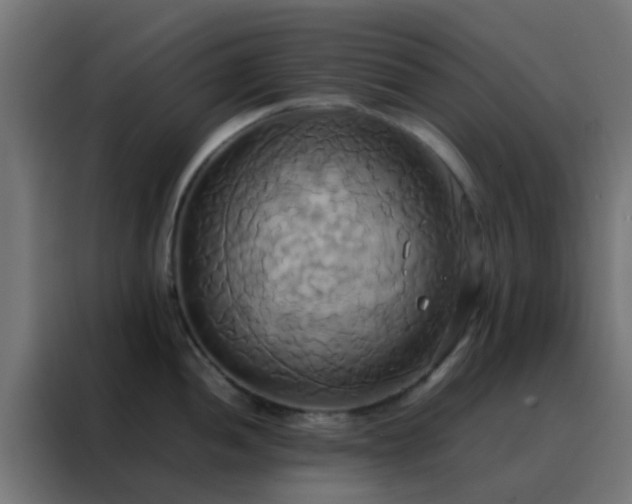 X0000088211052200705221739