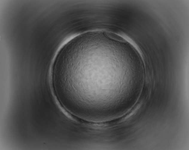 X0000088211053200705221739