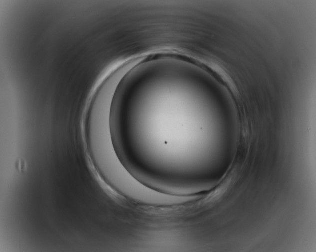X0000088211054200705221739